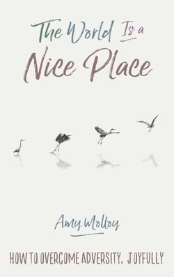 The World Is a Nice Place - How to Overcome Adversity, Joyfully