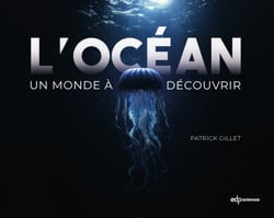 L’océan - Un monde à découvrir
