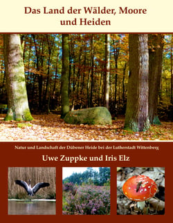 Das Land der Wälder, Heiden und Moore - Natur und Landschaft der Dübener Heide bei der Lutherstadt Wittenberg