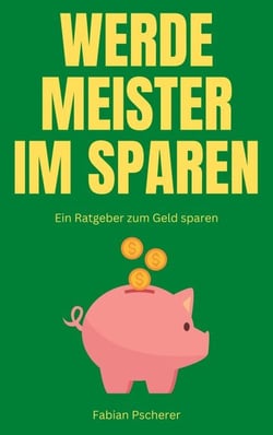 Werde Meister im Sparen - Ein Ratgeber zum Geld sparen