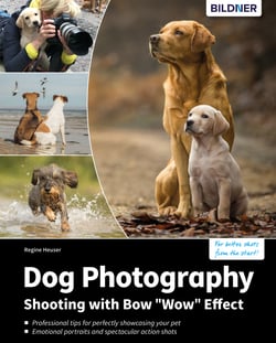 Dog Photography - Shooting with Bow "Wow" Effect