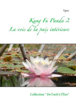 Kung Fu Panda 2 - La voie de la paix intérieure