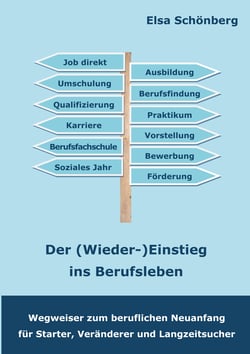 Der (Wieder-)Einstieg ins Berufsleben - Wegweiser zum beruflichen Neuanfang für Starter, Veränderer und Langzeitsucher