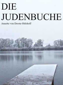 Die Judenbuche - Ein Sittengemälde aus dem gebirgichten Westfalen