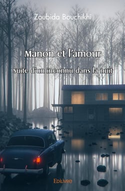 Manon et l'amour : Suite d'un inconnu dans la nuit