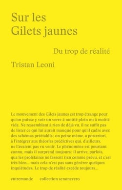 Sur les Gilets Jaunes : du trop de réalité