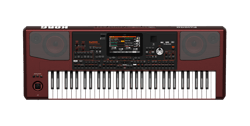 Korg PA1000 - Clavier arrangeur - 61 touches
