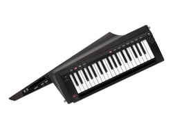 Korg RK-100S 2 - keytar