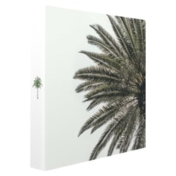 Album Palmier - Panodia - Ceanothe - 200 photos - 11,5 x 15 cm