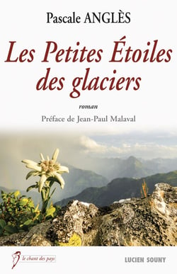 Les Petites Etoiles des glaciers - Roman historique