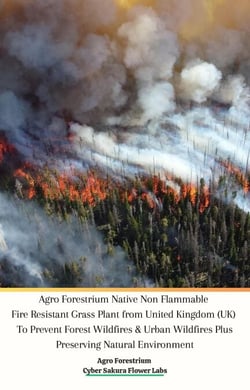 Agro Forestrium Native Non Flammable Fire Resistant Grass Plant from United Kingdom (UK) To Prevent Forest Wildfires &amp; Urban Wildfires Plus Preserving Natural Environment