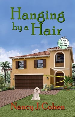 Hanging by a Hair - The Bad Hair Day Mysteries, #11