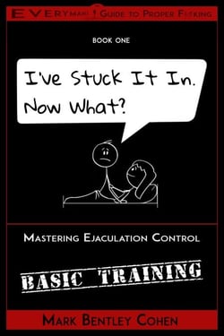I've Stuck It In. Now What? - Everyman's Guide to Proper F*cking, #1