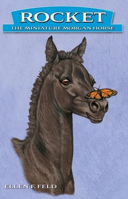Rocket: The Miniature Morgan Horse, Book 1 - Rocket The Miniature Morgan Horse, #1