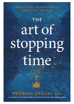 The Art of Stopping Time - Practical Mindfulness for Busy People