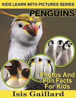 Penguins Photos and Fun Facts for Kids - Kids Learn With Pictures, #12