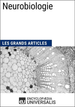 Neurobiologie - Les Grands Articles d'Universalis
