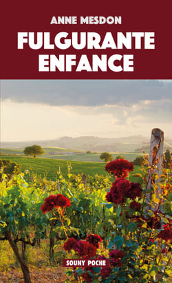 Fulgurante enfance - Roman