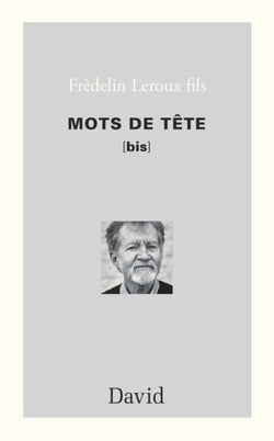 Mots de tête [bis] - Nouvelles chroniques impertinentes sur la langue