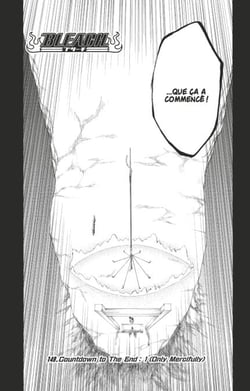 Bleach - T17 - Chapitre 149 - Countdown to The End: 1 (Only Mercifully)