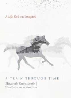 A Train through Time - A Life, Real and Imagined