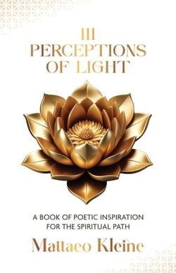 111 Perceptions of Light - Perceptions of Light, #1