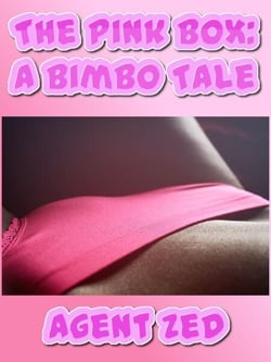 The Pink Box: A Bimbo Tale