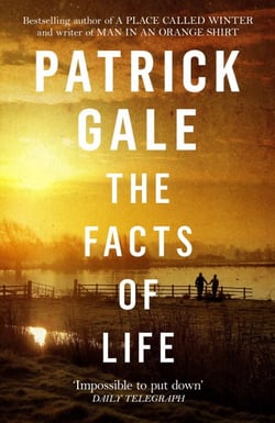 The Facts of Life - An epic, intimate novel of love, music and the life events that stay with us forever