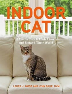 Indoor Cat - How to Enrich Their Lives and Expand Their World