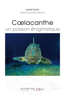 Coelacanthe, un poisson enigmatique