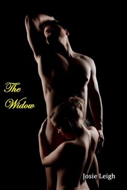 The Widow (The Professor #3) - The Professor, #3