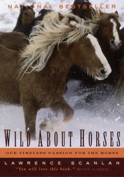 Wild About Horses - Our Timeless Passion for the Horse