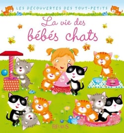 La vie des bébés chats