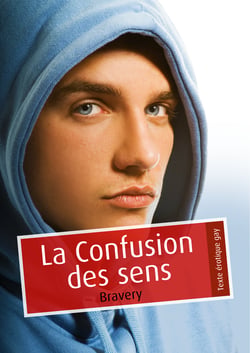 La confusion des sens (érotique gay)