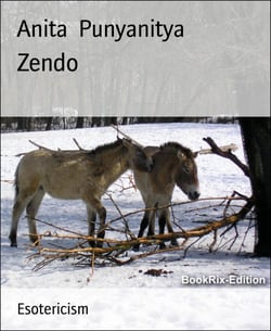 Zendo - From The Zen Meditation Hall