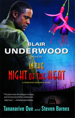 In the Night of the Heat - A Tennyson Hardwick Novel