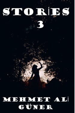 Stories 3