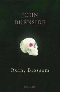 Ruin, Blossom - ‘A master of language’ Hilary Mantel