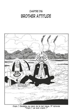One Piece édition originale - Chapitre 316 - Brother attitude
