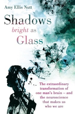 Shadows Bright As Glass - The Extraordinary Transformation of One Man's Brain - and the Neuroscience that Makes Us Who We Are