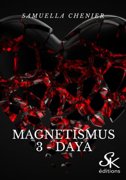 Magnetismus 3 - Daya