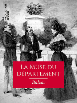 La Muse du département - Scènes de la vie de province