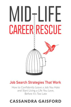 Mid-Life Career Rescue : Job Search Strategies That Work - Midlife Career Rescue, #5