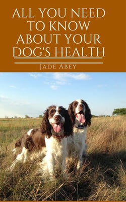 All You Need to Know About Your Dog's Health - Animal Lover, #2