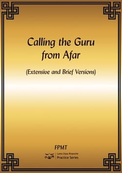 Calling the Guru from Afar eBook