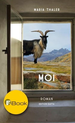 Moi - Roman