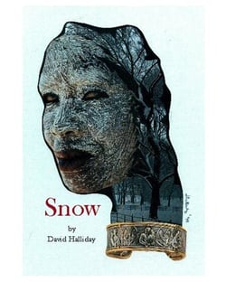 Snow - The Cases of Detective Sam Kelly, #3