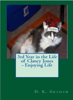 3rd Year in the Life of Clancy Jones - Loving Life - Clancy Jones, #3