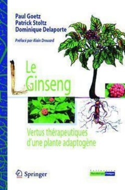 Le Ginseng - Vertus thérapeutiques d'une plante adaptogène