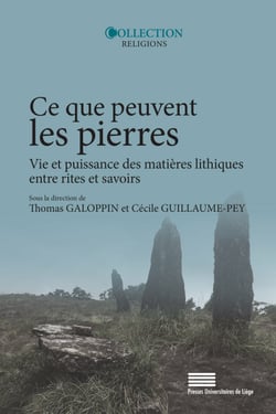 Ce que peuvent les pierres - Vie et puissance des matières lithiques entre rites et savoirs